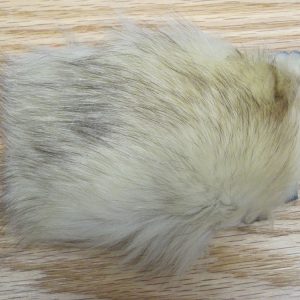 Barred White Fox
